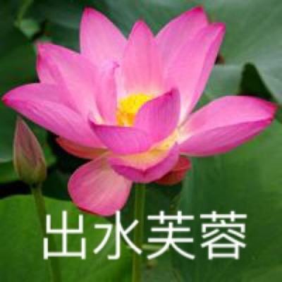 一拳西游满v版公益服下载